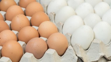 Yumurta, tavuk yumurta