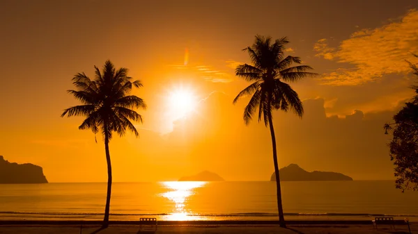 Twee palmbomen silhouet op zonsondergang tropisch strand — Stockfoto