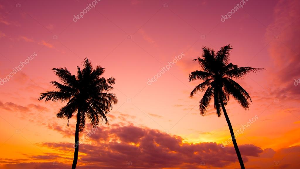 Two Palm Trees Silhouette On Sunset Tropical Beach Stock Photo C Piyagoon 92061634