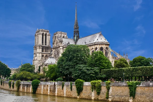 Katedrála Notre-Dame, Paříž — Stock fotografie