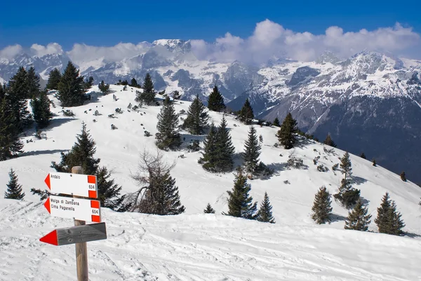 Alpina vinterlandskap Stockfoto