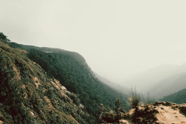 Yoğun ormanlarla kaplı yüksek dağlarda yoğun sis