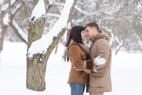 Hermosa pareja joven en el parque de invierno —  Fotos de Stock