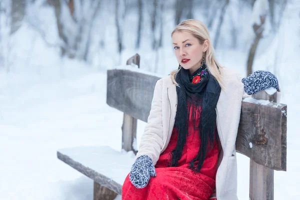 Kadın muhteşem kış portresi — Stok fotoğraf