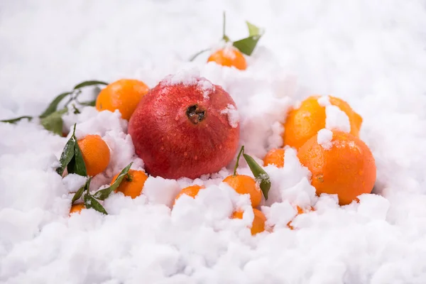Orange and pomegranate fruits Stock Image