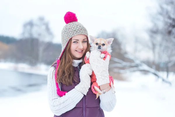 Küçük köpek chihuahua ile portre güzellik kız — Stok fotoğraf