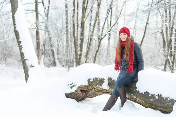 Красавица на зимнем фоне — стоковое фото