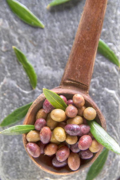 Mixed olives in brine — Stock Photo, Image