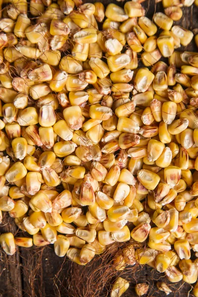 Beans dried corn — Stock Photo, Image