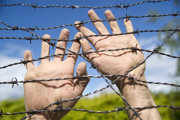 Hände in Stacheldraht — Stockfoto