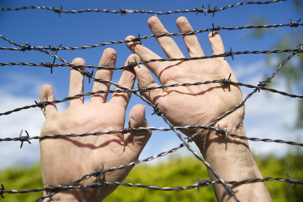 Hands in barbed wire