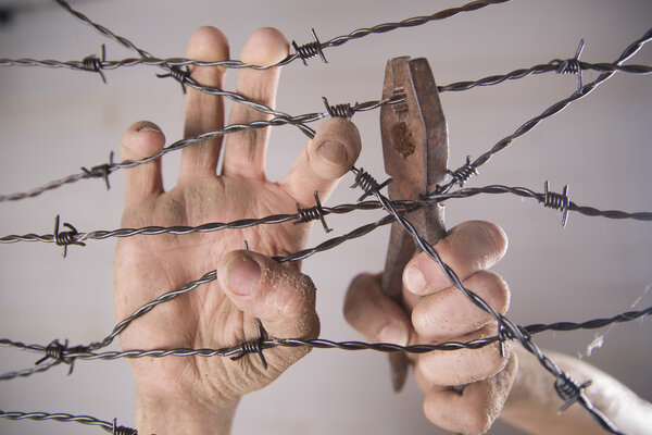 Hands in barbed wire