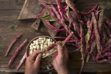 Kırmızı fasulye kabuk