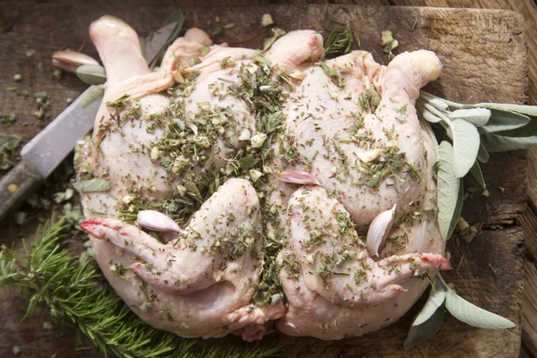 Bir tavuk hazırlanması — Stok fotoğraf