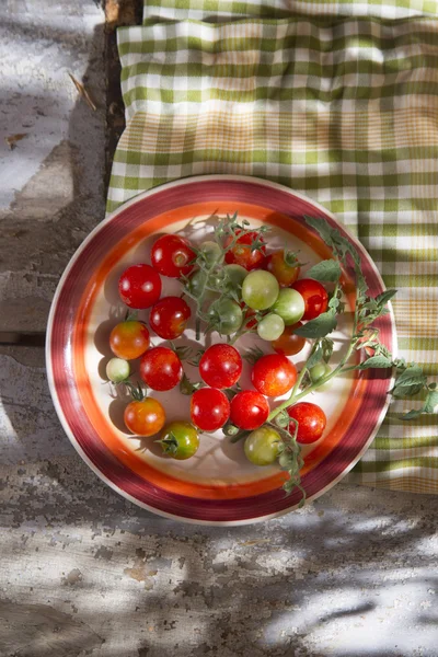 Fresh cherry tomatoes — Stock Photo, Image