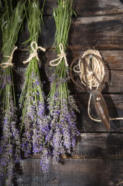 Bir demet lavanta çiçeği.