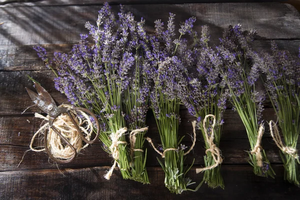 Bouquet de fleurs de lavande — Photo