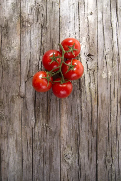 Tomates redondos lisos — Fotografia de Stock