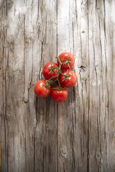 Tomates redondos lisos — Fotografia de Stock