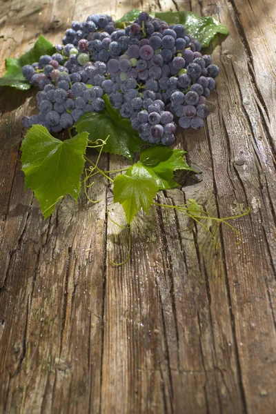 Black grape strawberry — Stock Photo, Image