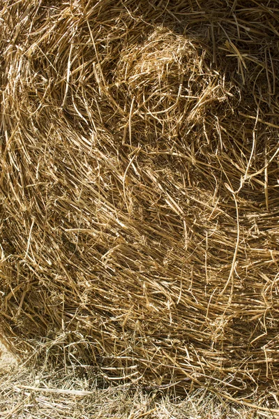 Straw for horses — Stock Photo, Image