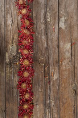 küçük kuru çiçekler