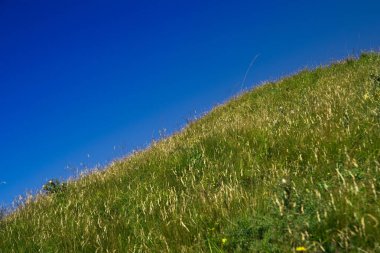 Çayırda yemyeşil bir çayırda dağ manzarası