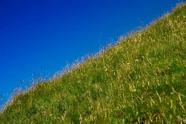 Bergsutsikt Över Sluttning Full Äng Frodigt Gräs — Stockfoto