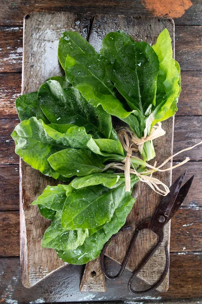 Produkten Trädgården Vårsäsongen Eller Skörd Mangold Blad — Stockfoto