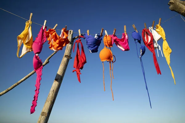 Serie Trajes Baño Femeninos Varios Colores Que Cuelgan Sol Para —  Fotos de Stock