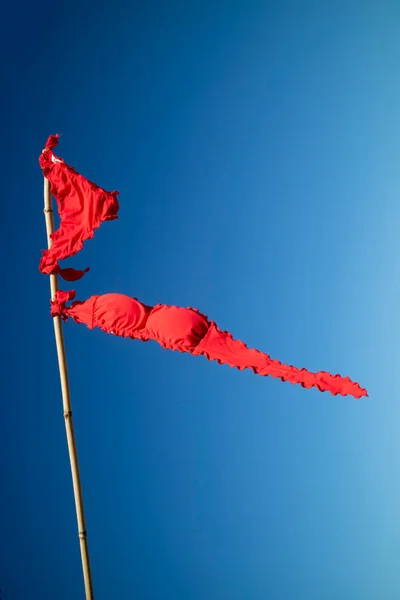 Bayraklar Gibi Yaz Rüzgârında Asılı Duran Kadın Mayosunun Fotoğraf Çekimi — Stok fotoğraf