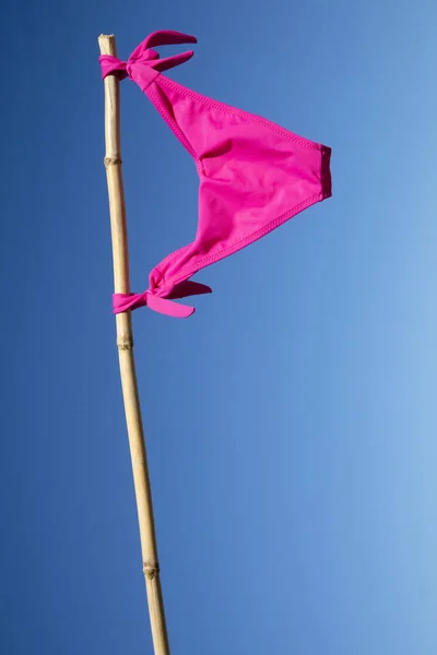 Bayraklar Gibi Yaz Rüzgârında Asılı Duran Kadın Mayosunun Fotoğraf Çekimi — Stok fotoğraf