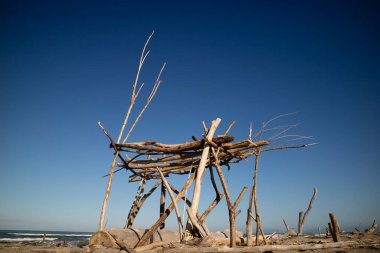 Yaz mevsiminde Viareggio İtalya 'nın serbest plajlarında güneşten korunmak için tipik ahşap binalar. 