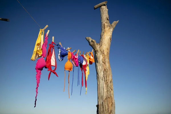 Servizio Fotografico Costumi Bagno Femminili Appesi Asciugare Nel Vento Estivo — Foto Stock