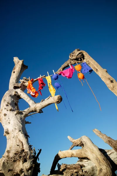 Fotoshoot Van Zwemkleding Voor Vrouwen Hangend Drogen Zomerwind Van Een — Stockfoto