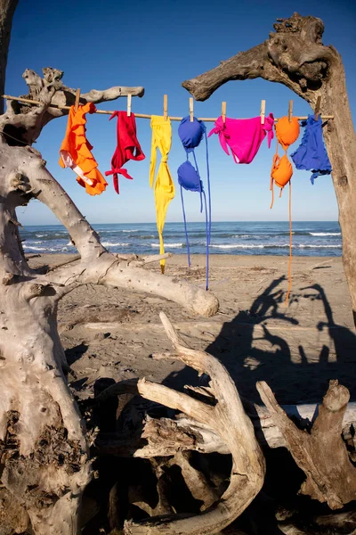 Photo Shoot Women Swimwear Hanging Out Dry Summer Wind Free — Stock Photo, Image