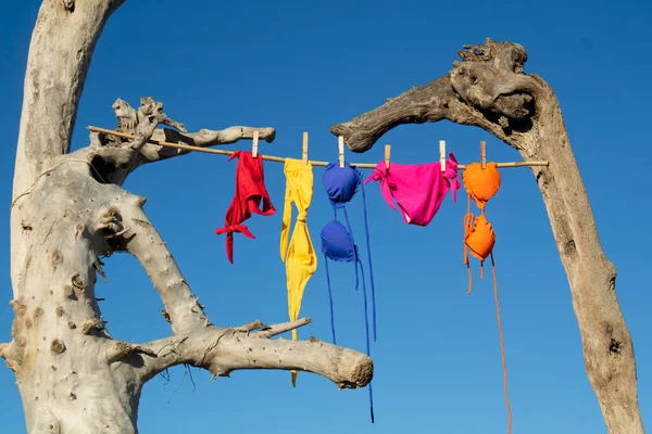 Photo Shoot Women Swimwear Hanging Out Dry Summer Wind Free Stock Photo