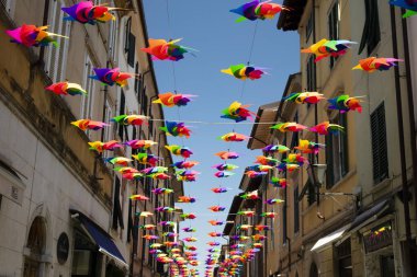 Pietrasanta Toskana İtalya 'nın ana caddesini yaz günlerinde dekore etmek için çok renkli fırıldak. 