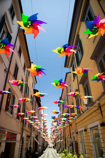 Pines Multicolores Para Decorar Calle Principal Pietrasanta Toscana Italia Los — Foto de Stock