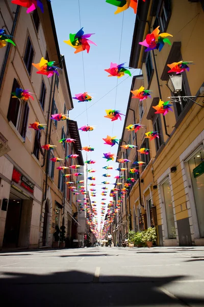 Pines Multicolores Para Decorar Calle Principal Pietrasanta Toscana Italia Los — Foto de Stock