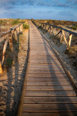 Viareggio Tuscany İtalya 'nın doğal parkında sahile giden bir yürüyüş yolu manzarası. 