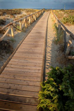 Viareggio Tuscany İtalya 'nın doğal parkında sahile giden bir yürüyüş yolu manzarası. 