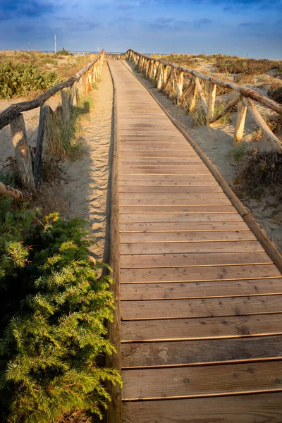 Viareggio Tuscany Talya Nın Doğal Parkında Sahile Giden Bir Yürüyüş — Stok fotoğraf