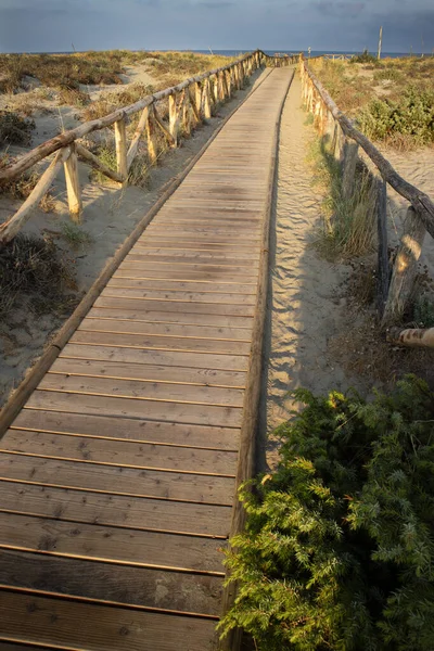 Vista Uma Passarela Que Leva Praia Parque Natural Viareggio Toscana — Fotografia de Stock