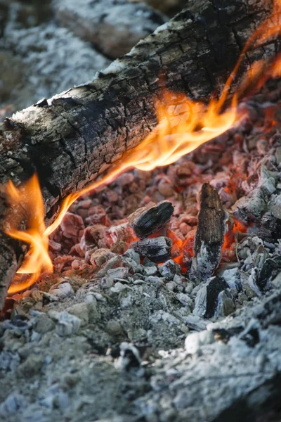 Wood burning phase