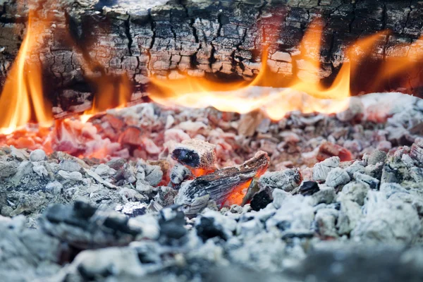 木材燃烧阶段 — 图库照片