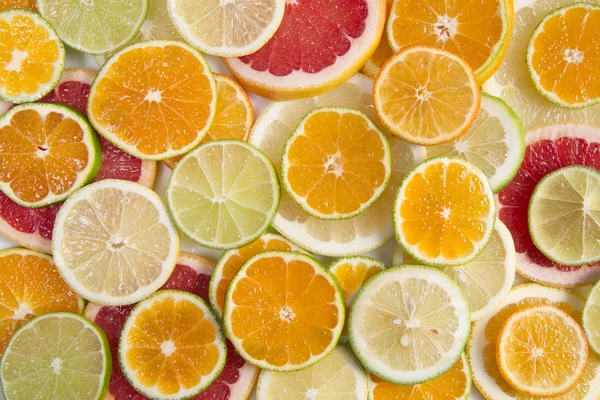 Färgerna på citrusfrukter — Stockfoto