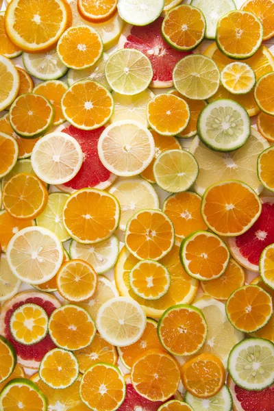 Färgerna på citrusfrukter — Stockfoto