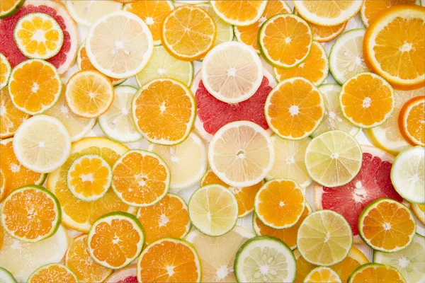 The colors of citrus fruits — Stock Photo, Image