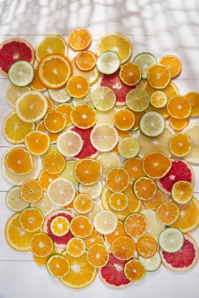 The colors of citrus fruits — Stock Photo, Image